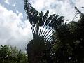 21a - Jardin Tropical 021